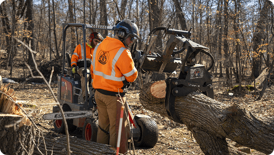 passion for tree care