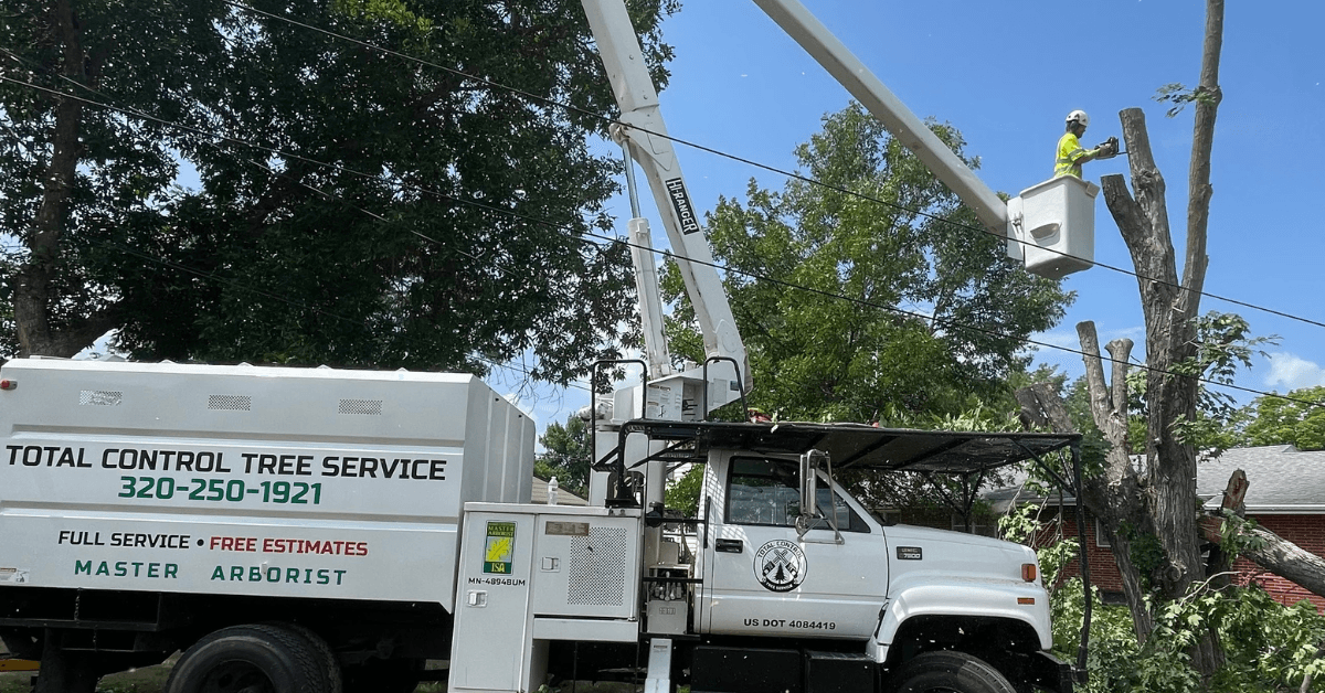 24/7 emergency tree service and storm damage cleanup in St. Cloud Minnesota by Total Control Tree Service