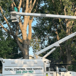 Cabling and Bracing