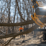 Professional tree removal crew using a crane to lift a large oak tree over a house in St. Cloud, MN
