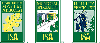 ISA logos