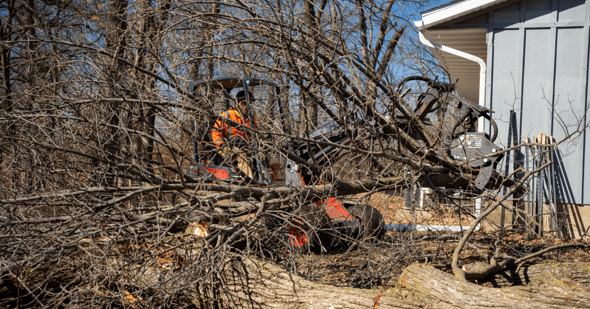 Land clearing service in St. Cloud and Central Minnesota by Total Control Tree Service