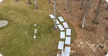 Land Clearing