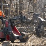 Shrub Removal and Trimming