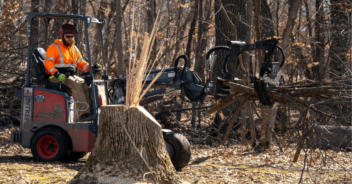Stump grinding and removal service in St. Cloud Minnesota by Total Control Tree Service