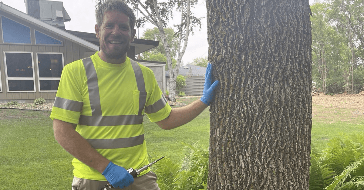 Tree risk assessment service in St. Cloud Minnesota by Total Control Tree Service