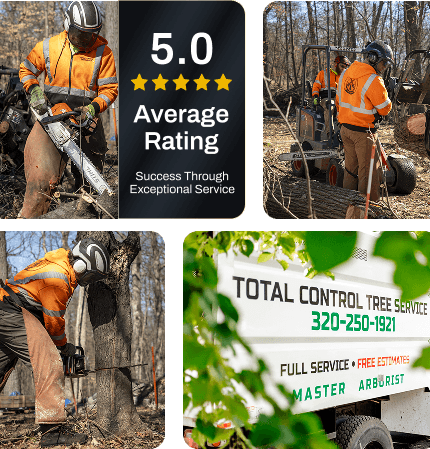 average rating mobile