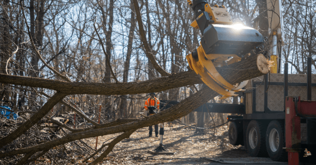 How Much Does Tree Removal Cost in St. Cloud, MN? (2026 Price Guide)