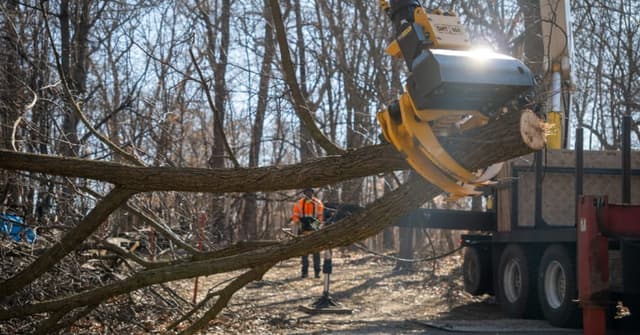 Professional tree removal crew using a crane to lift a large oak tree over a house in St. Cloud, MN