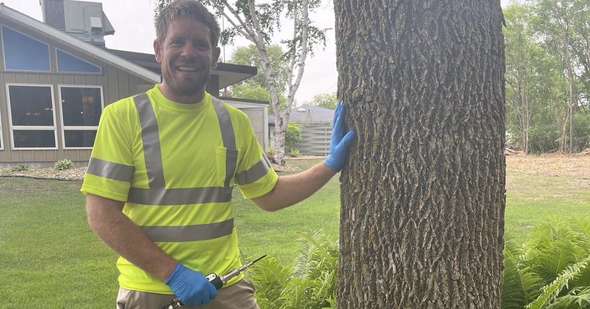 Tree risk assessment service in St. Cloud Minnesota by Total Control Tree Service