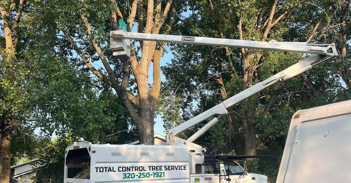 Tree trimming and pruning service in St. Cloud Minnesota by Total Control Tree Service